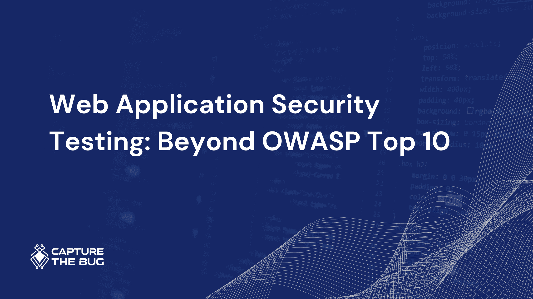 Web Application Security Testing: Beyond OWASP Top 10