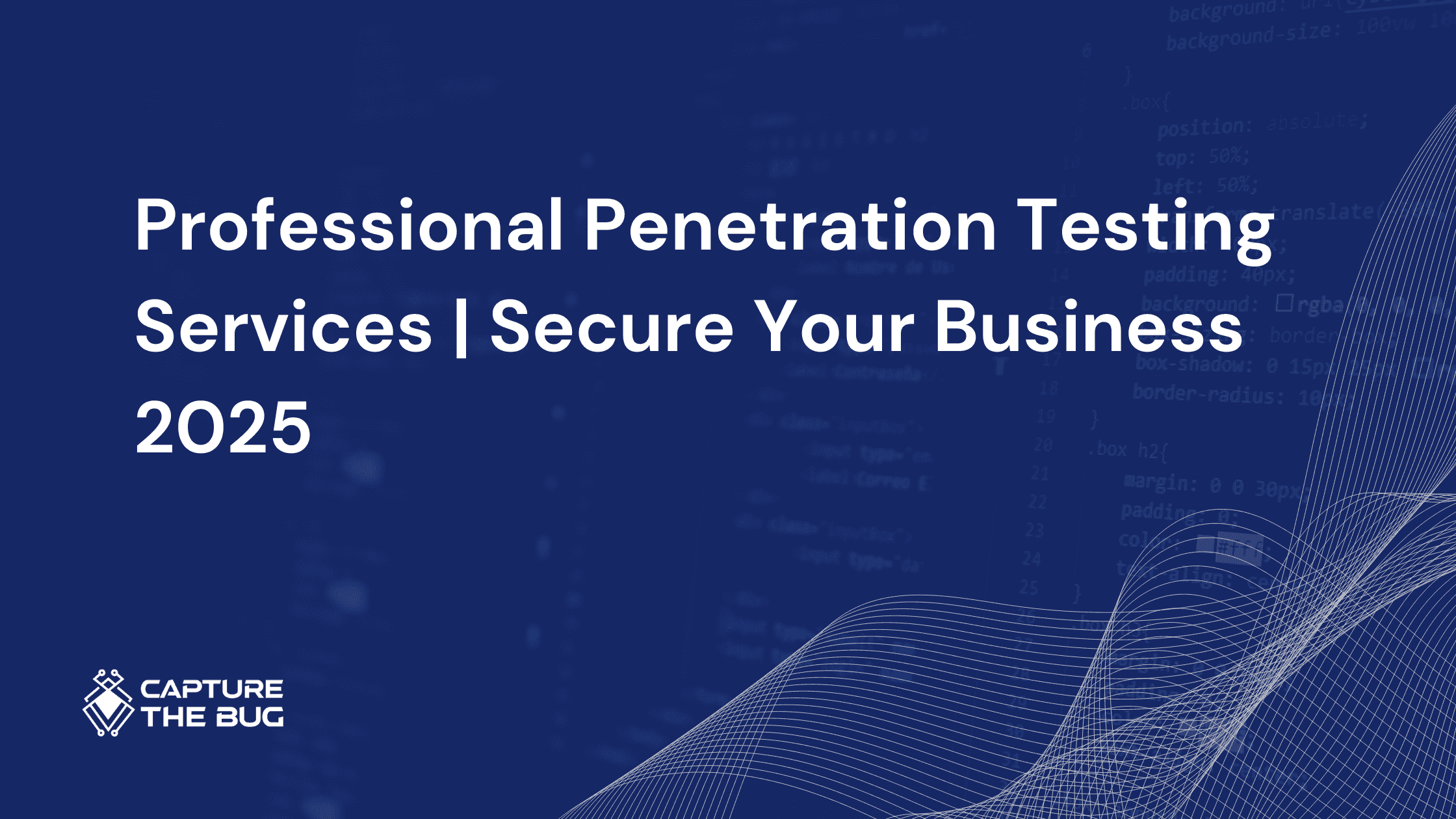 Professional Penetration Testing Services | Secure Your Business 2025