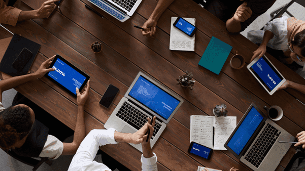 How is Capture The Bug helping high growth tech companies in New Zealand?